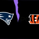 New England Patriots vs Cincinnati Bengals Match Player Stats