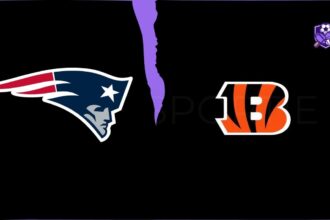 New England Patriots vs Cincinnati Bengals Match Player Stats
